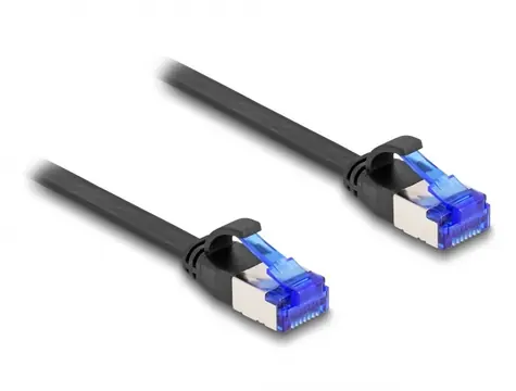 DeLock Patch Kabel RJ-45 (M) - RJ-45 (M) Flat Cat.6A 2m černá