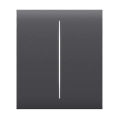 AJAX CenterButton (2-gang) - Středové dvou tlačítko pro LightSwitch grafitová