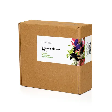 Click and Grow Mix květin 9ks / Petunie 3ks / Maceška černá 3ks / Podrostovka listoklasá 3ks  