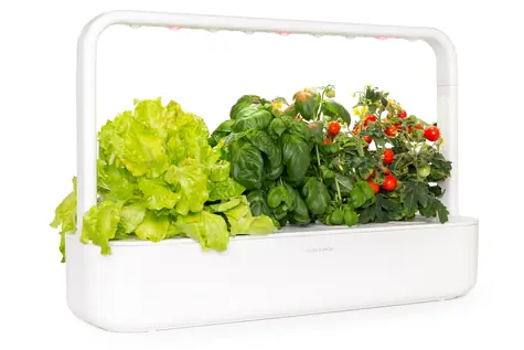 Rozbaleno - Click And Grow Smart Garden 9 bílá / Chytrý květináč / automatické zavlažování / 3x rajčátka / 3x bazalka / / rozbaleno
