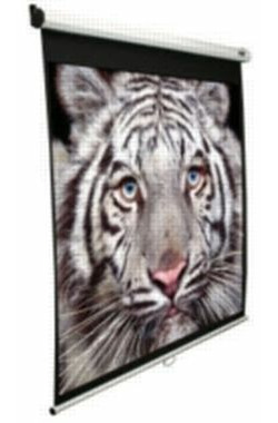 ELITE SCREENS plátno roleta 99" (1:1) bílá / 177.8 x 177.8 cm / zisk 1.1
