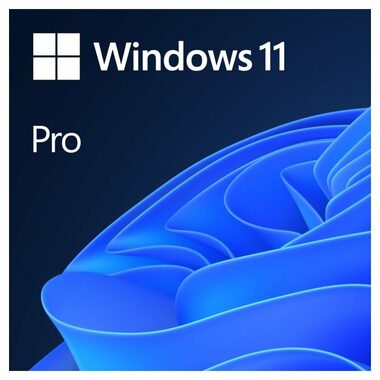 Microsoft Windows 11 Pro CZ 64-bit (OEM) / Operační systém / DVD pro 64-bit / čeština / pro 1 PC nepřenositelná