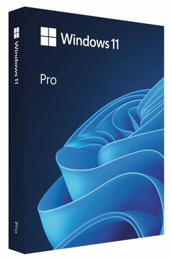 Microsoft Windows 11 Pro CZ 64-bit (FPP) / Operační systém / USB disk pro 64-bit / čeština / pro 1 PC přenositelná