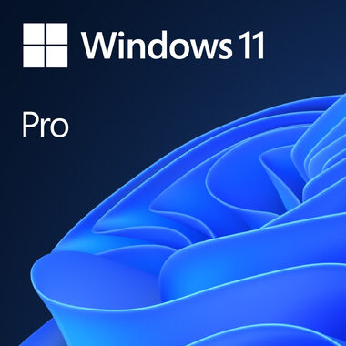 Windows 11 Pro / elektronická licence / čeština / pro 1 PC nepřenositelná - pouze k nové sestavě