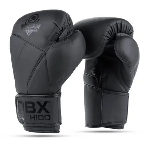 DBX BUSHIDO B-2v15B Boxerské rukavice