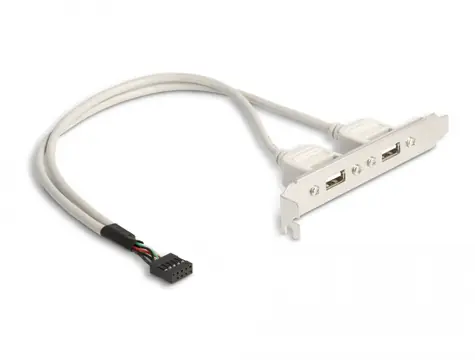 Delock Slot bracket 2 x USB 2.0 typ A (F) externí 0.3m bílá