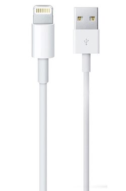 Apple Datový kabel USB Apple MD818ZM iPhone 5 originální / bulk