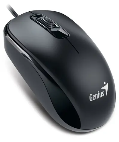 GENIUS DX-110 černá / drátová / 1200 dpi / USB-C 