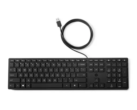HP 320K černá / drátová klávesnice / USB / CZ-SK Layout / 1.8m