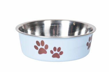 Karlie Miska nerezová s plastovým opláštěním modrá 12cm 300ml