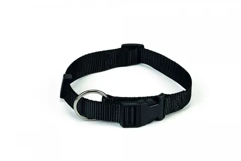 Beeztees Obojek pro psy nylonový černá - 40-60cm x 25mm