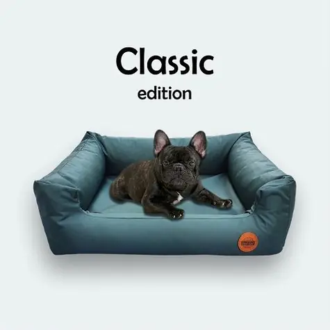 Red Ant Classic Pelech pro psy smaragdově zelená - velikost S