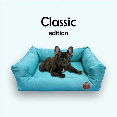 Red Ant Classic Pelech pro psy mentolová - velikost XL
