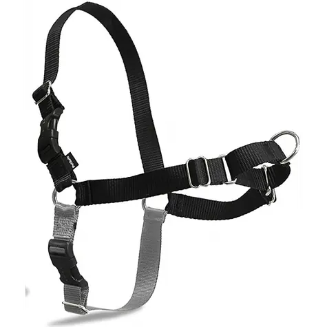 PetSafe EasyWalk Postroj černá - velikost S