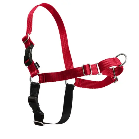 PetSafe EasyWalk postroj červená - velikost L