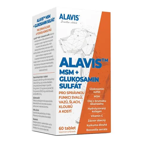 ALAVIS MSM + Glukosamin sulfát 60 tobolek