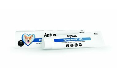 Aptus Recobooster Dog 100g / Chutná pasta pro doplnění energie