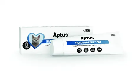 Aptus Recobooster Cat 60g 