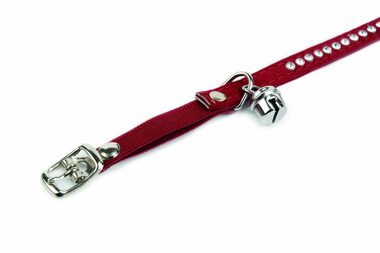 Beeztees SWAROVSKI Obojek pro kočky červená 24-30cm X 10mm