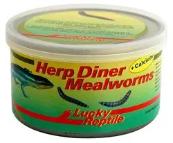 Lucky Reptile Herp Diner - mouční červi 35g 