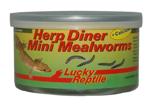 Lucky Reptile Herp Diner - mouční červi 35g - mini 