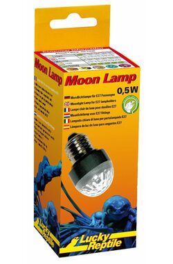Lucky Reptile Moon Lamp