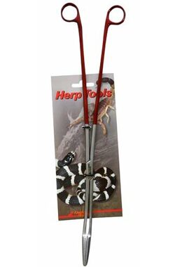 Lucky Reptile Peán 40 cm