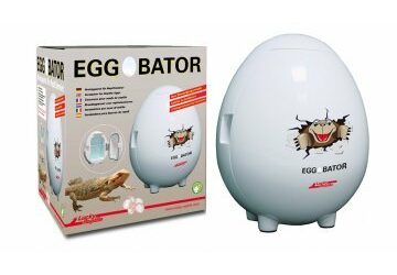 Lucky Reptile Egg O´Bator / 28x26x32 cm