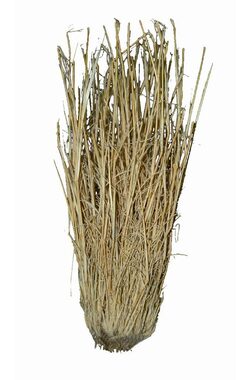 Lucky Reptile Grass Bushes 25-40 cm