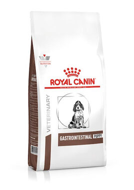 Royal Canin VD Canine Gastro Intestinal Junior 2.5 kg / Granule pro psy