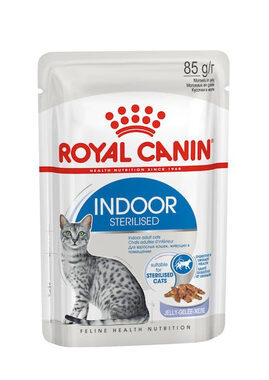 Royal Canin FHN Indoor Sterilized Morsels in Jelly Adult 12 x 85 g / Kapsičky pro kočky