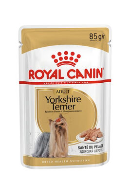 Royal Canin Yorkshire Terrier Adult 12 x 85 g / Kapsičky pro psy