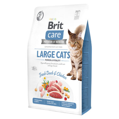 Brit Care Cat Grain-Free Large cats Power & Vitality 2 kg / Kompletní krmivo pro dospělé kočky velkých plemen