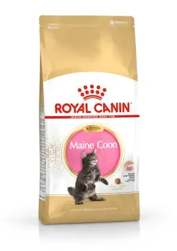 Royal canin Breed Feline Kitten Maine Coon 10kg / Granule pro Mainská mývalí koťata