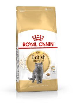 Royal Canin British Shorthair cats dry food Adult 10 kg / Granule pro dospělé kočky / britské krátkosrtské / doprodej