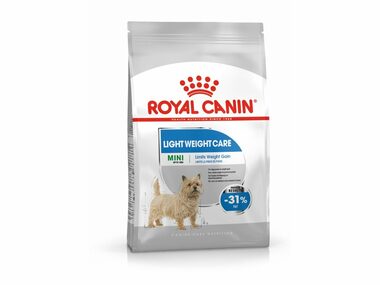 Royal Canin Mini Dental Care 3kg / Granule pro psy