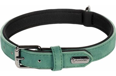 Flamingo Delu Obojek s neoprenovým polstrováním zelená M