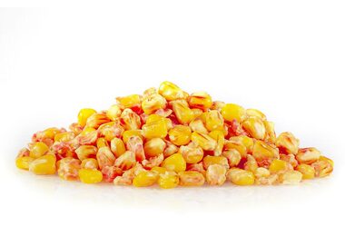 Sportcarp Nakládaná kukuřice Chilli Fruit 1kg