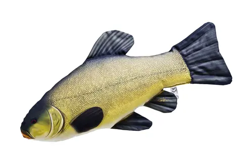 Gaby Polštář Lín obecný 60cm