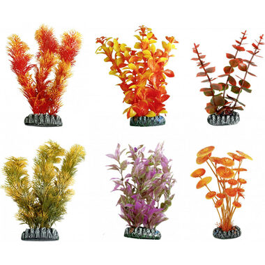 Flamingo Cuba Akvarijní rostliny mix XL 