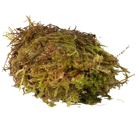 HabiStat Sphagnum Moss 1kg / Přírodní mech 