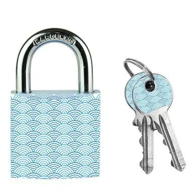 Master Lock 3430EURDWAVE Visací zámek z pevného hliníku - 30mm