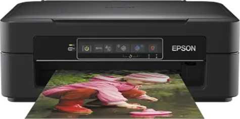 Epson Expression Home XP-245 + inkoust 29 / A4 inkoustová multifunkce / 8/4str. / 5760 x 1440dpi / duplex / USB / WiFi