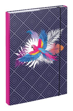 BAAGL Desky na školní sešity A4 Papoušek / 23x32x3 cm