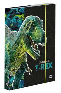 OXYBAG Box na sešity A5 Premium Dinosaurus