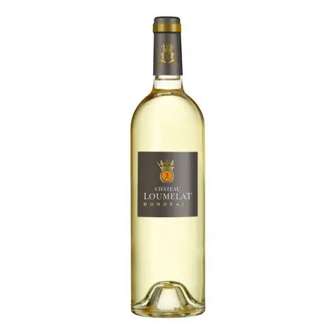 Vignobles Lesgourgues Chateau Loumelat blanc 2022 12,5% 0.75 l