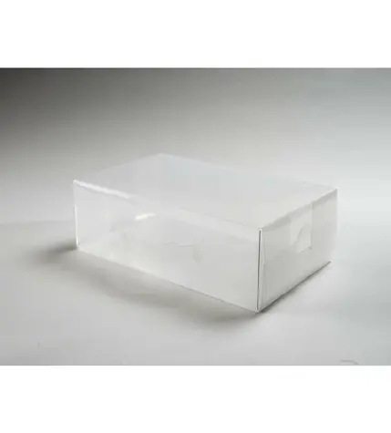 Compactor M Transparentní úložný box na boty " lodičky" / 18 x 34 x 10 cm