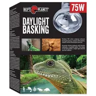 Repti Planet žárovka Daylight Basking Spot 75W 