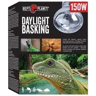 Repti Planet žárovka Daylight Basking Spot 150W