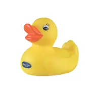 Playgro - Kačenka do vany / od 6 měsíců